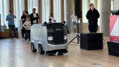 Photo of Как оформить дачный участок креативно