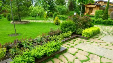 Photo of Лучшие идеи озеленения участка